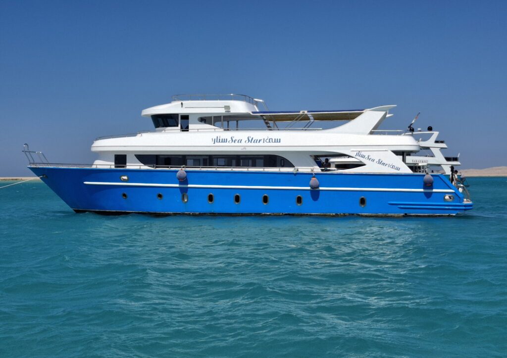 Insula Orange (Premium)