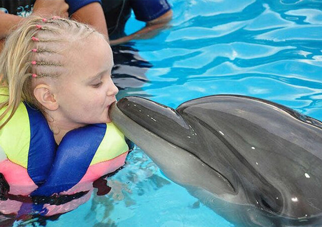 Spectacol cu delfini